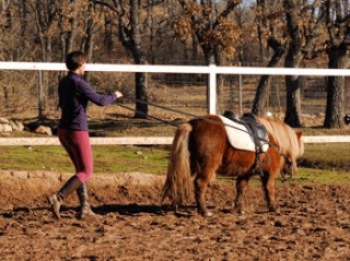 Doma Clasica
